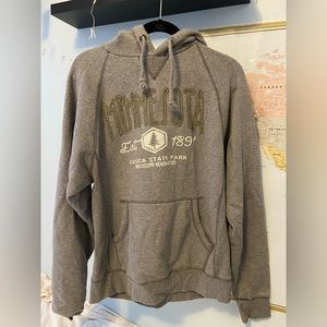 Grey Minnesota Hoodie